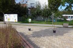 P2010416